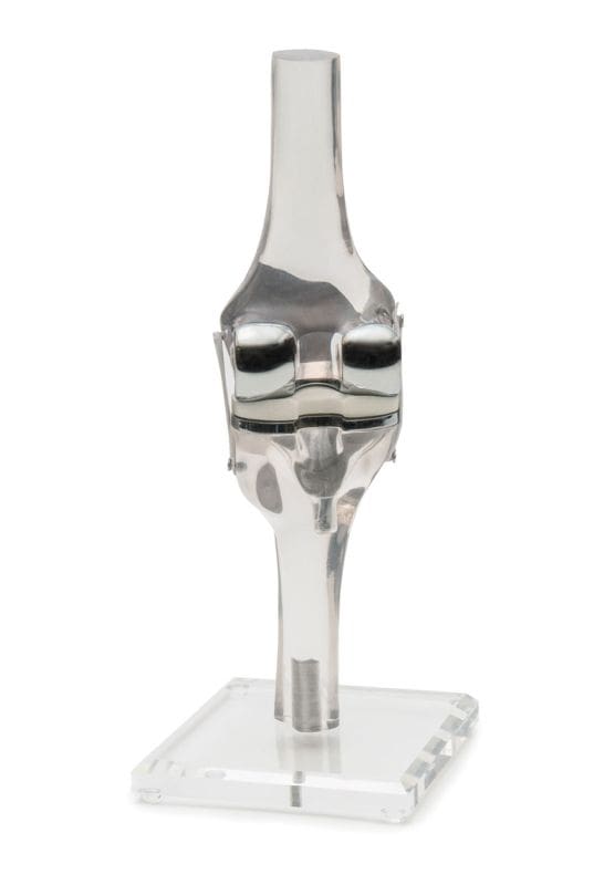 Kniemodell mit Endoprothese - Erler - Zimmer